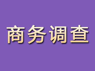 东山区商务调查